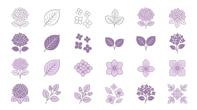 Set of hand drawn purple hydrangea flower and leaf botanical icons.