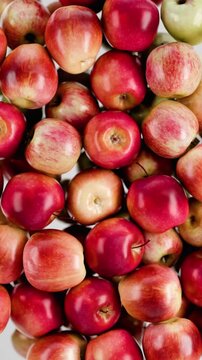 Fresh red apples floating in motion on white background. Ripe juicy fruit texture with organic harvest concept, healthy food pattern and vibrant natural colors in closeup.
