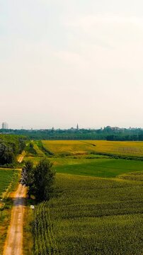 Vertical video. Piacenza, Italy. Aerial flight over the Po River valley towards the city skyline, with lush green fields, a tree-lined country road, and a modern cable-stayed railway bridge under bri