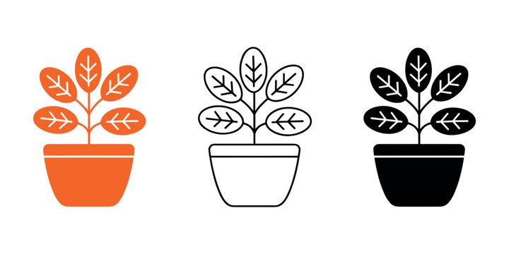 Three potted plants in orange black and white flowerpots with leaf orange pot black pot white pot leaf plant colorful plants in white background