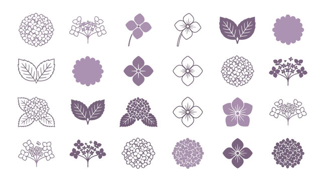 Set of various floral icons and hydrangea flower illustrations.