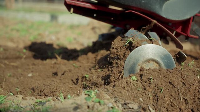Closeup of cultivator blades plowing garden soil