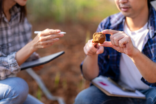 Geologists examining soil and rock samples in field