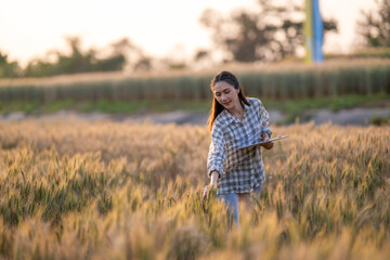 Agronomist checking quality of barley crop in field © Apichat