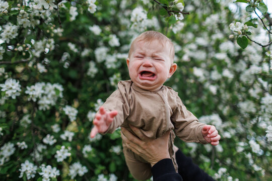 A crying infant with eyes closed reaching out a hand, held against a dense wall of blooming flowers