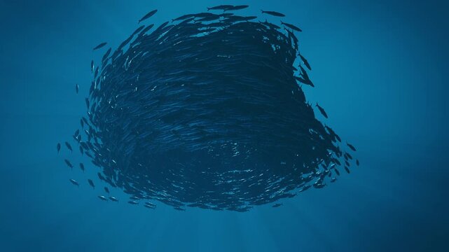 3D Animation of Bait Ball Fish Swarm Sphere Underwater, 3D Ocean Concept
