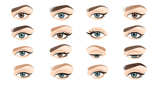 Graphic illustration of various female eye shapes and eyebrow styles with different makeup looks and vibrant colors.