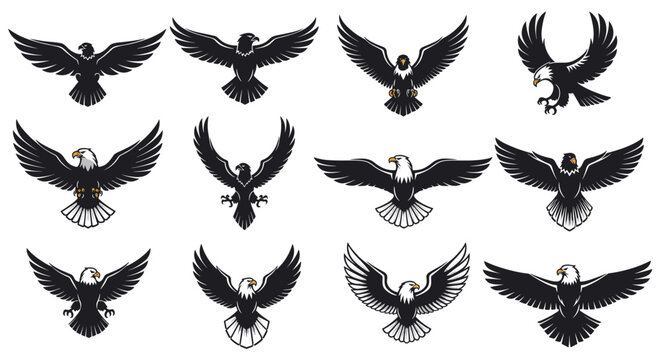 Powerful eagle emblems and silhouettes showing the majestic bird of prey in different flight poses and landing positions.