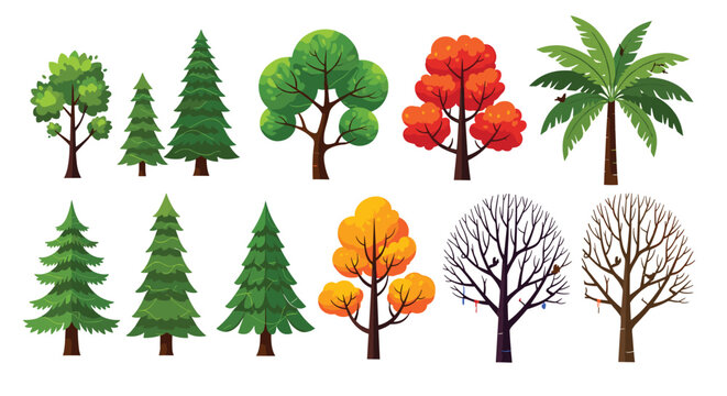 Diverse collection of tree species including pine, palm, maple, and bare winter trees showing seasonal and botanical variety.