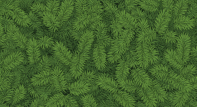 Dense and lush background texture filled with overlapping green pine or spruce needle branches creating a natural pattern.