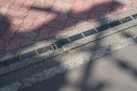 歩道と側溝