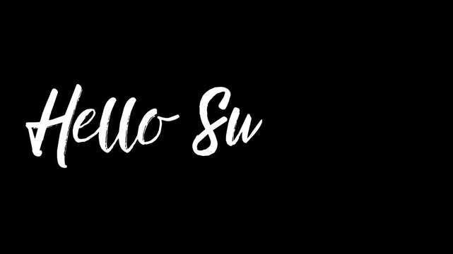Text hello summer, elegant, holiday, beach, summer holidays, summer holidays concept 