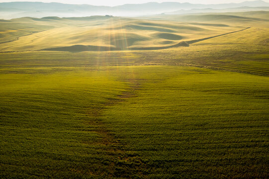 Tuscany tourism landscape with sun rays illuminating vast rolling green fields and misty hills, offering a serene outdoor destination in Orcia valley, Pienza, Italy.