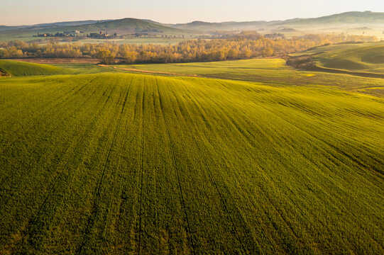 Tuscany tourism landscape with vast rolling green fields and misty hills, offering a serene outdoor destination in Orcia valley, Pienza, Italy.