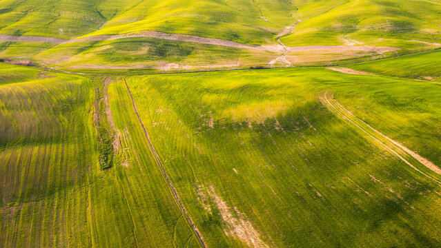 Green agricultural fields undulate across rolling hills, creating a textured rural landscape for tourism and nature exploration in Orcia valley, Pienza, Tuscany, Italy.
