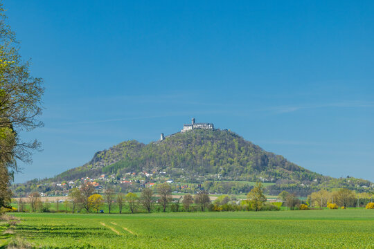 Bezdez Castle standing tall on green hill in Bela pod Bezdezem