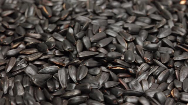 Macro panning shot of black sunflower seeds pile