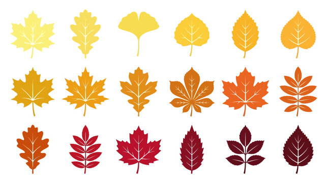 Set of colorful autumn leaves icons in flat style.