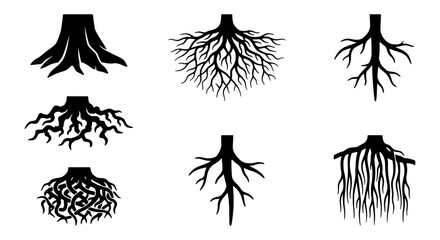 Diverse Tree Root Systems Vector Icons, Organic Growth Patterns, Botanical Foundation Elements, Natural Structure Silhouettes © Zubair
