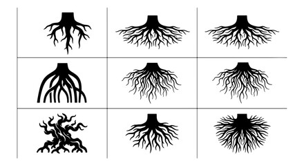 Diverse Tree Root Systems Vector Icons, Organic Growth Patterns, Natural Structure Illustrations, Plant Biology Graphics © Zubair