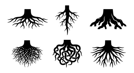Set of six diverse black silhouette tree root systems, organic growth patterns, natural branching, foundational elements, vector illustration © Zubair