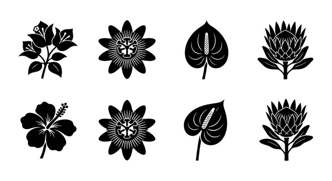 Black Silhouette Floral Icons Set: Tropical Flowers, Exotic Blooms, Botanical Elements, Vector Graphics for Design
