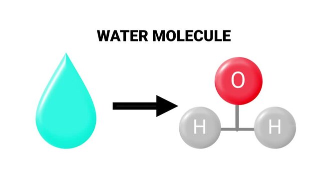 Water Molecule Structure Educational Science Graphic Animation.