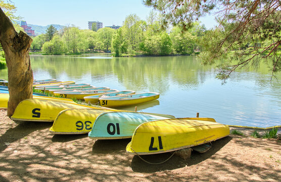 新緑の札幌・中島公園 菖蒲池と並んだ貸しボート  Shobu Pond in Nakajima Park with rental boats in early summer, Sapporo, Hokkaido