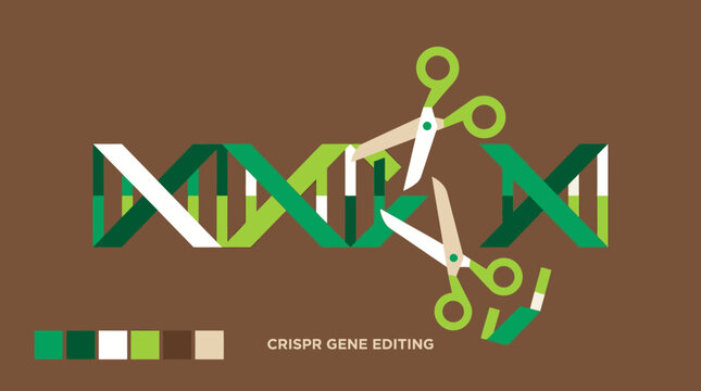 Scissors Cutting DNA Double Helix Representing Gene Editing.