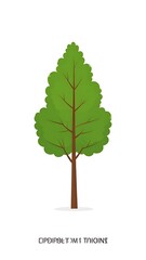 Fototapeta premium Illustration of a single green tree.