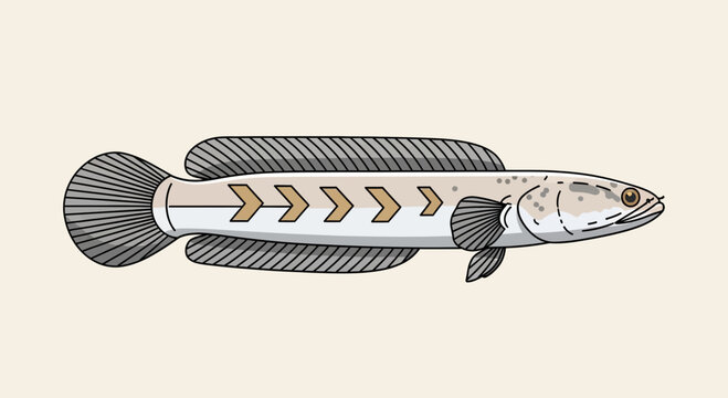 Illustration of a Snakehead Fish on a Light Background
