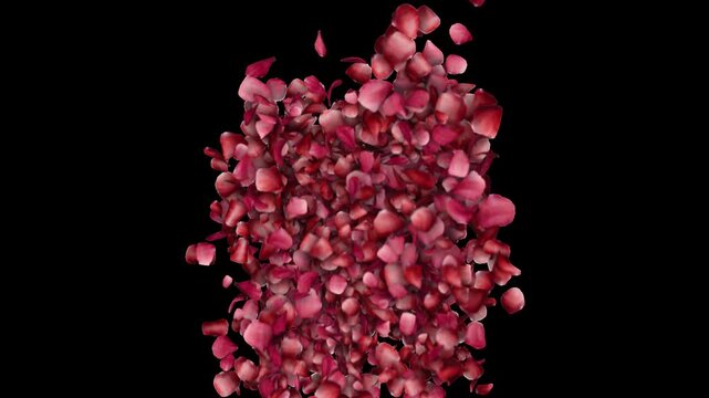 Elegant Rose Bloom Fountain Animation