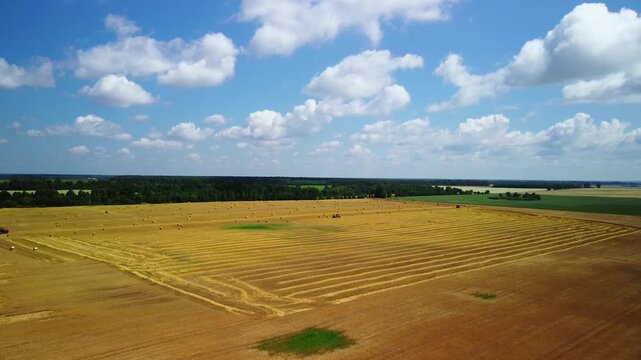 Agricultural land. Machinery with baler work in field. Grain harvesting and baling straw into bales for livestock feed. General view from elevated vantage point of field with crops during harvesting