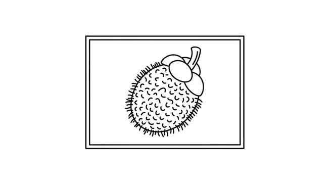 Hand-drawn illustration of a spiky rambutan fruit with a stem, isolated on a white background.