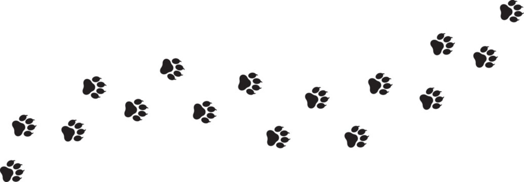 cat paw footprint traces, track, tracking. cat animal paw prints isolated on white background