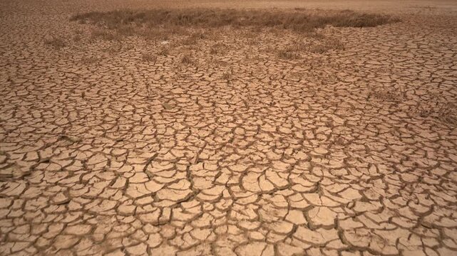 Low-angle tracking shot gliding over cracked, parched earth towards dead crops. High-impact dynamic B-roll highlighting severe drought, agricultural failure, and the climate crisis for documentaries.
