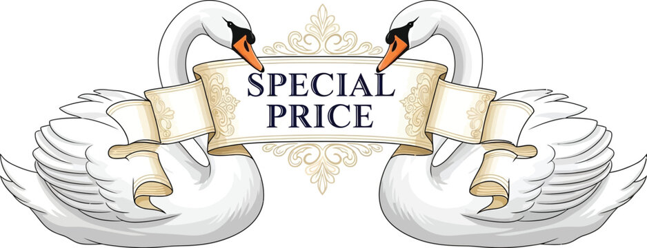 Two swans holding a special price banner on white background