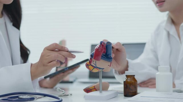Cardiovascular Examination Medical Office Educational Session Clinical Environment Close-Up View Health Awareness