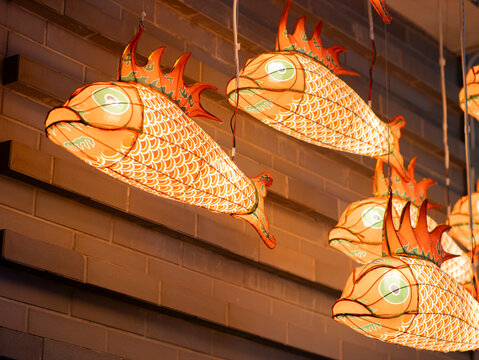 Lanterns, lanterns, and fish lanterns hang from the branches during the Lunar New Year.