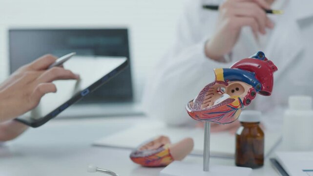 Cardiovascular Examination Medical Office Educational Session Clinical Environment Close-Up View Health Awareness