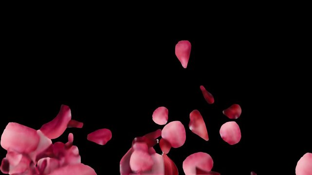 Luxury Valentine Heart Petal Animation