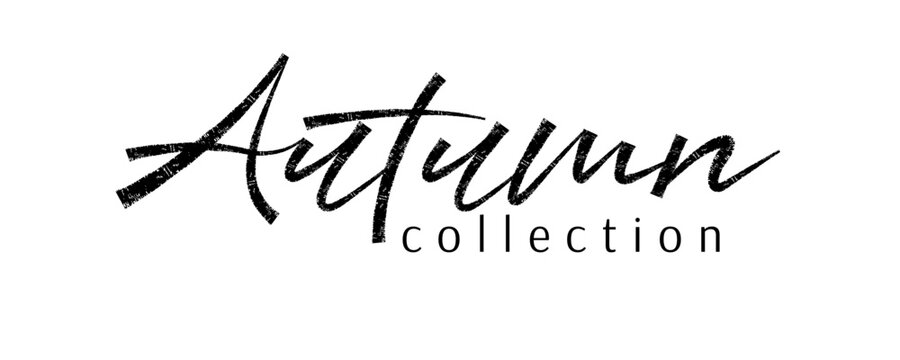 Autumn collection. Trendy brush stroke quote text. Marker drawn calligraphy. Modern phrase great for promotion or announcement posters and banners
