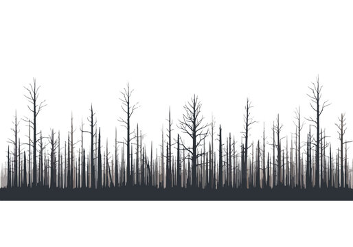 Silhouette of a burnt forest landscape with bare trees.