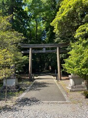 Fototapeta premium Wakasahiko Shrine (Wakasa Ichinomiya Shrine) in Obama, Fukui, Japan