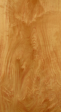 Abstract Wood Grain Texture Background