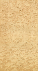 Fototapeta premium Natural textured wood background in light color