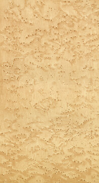 Natural textured wood background in light color