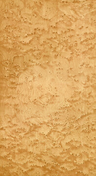 Natural Wood Texture Background with Patterns