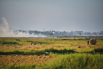 Fototapeta premium Mist and horizon in the Asian countryside