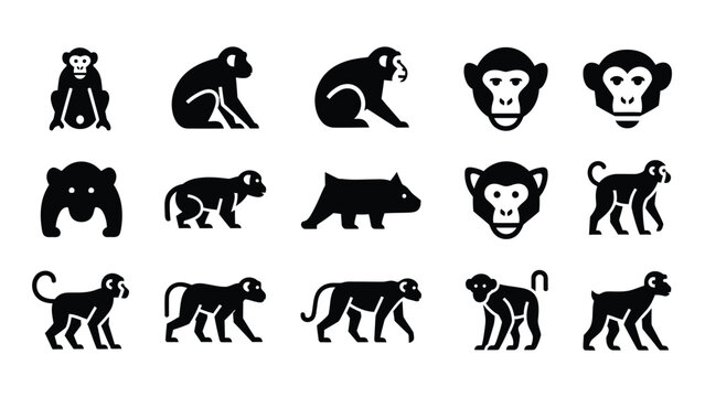 Modern primate silhouette set featuring monkey faces and various species in motion.